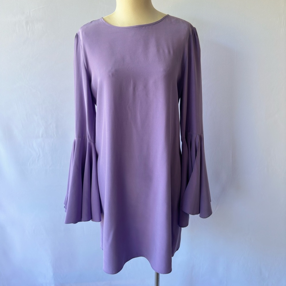 Elizabeth & James Size Small Purple Silk Mini Dress